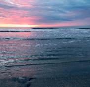 WhatsApp Image 2018-11-12 at 6.06.00 PM