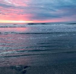 WhatsApp Image 2018-11-12 at 6.06.00 PM